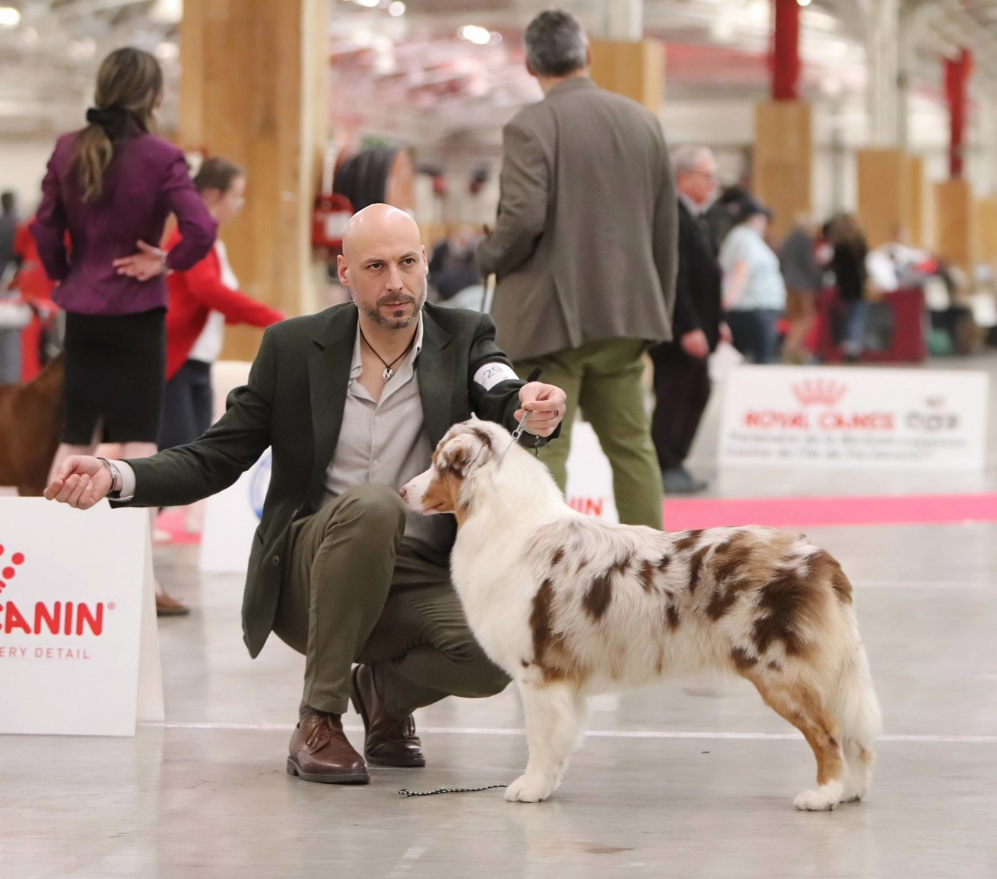 Aldebaran's worlds -ady- Des Bergers D'Enguerrand